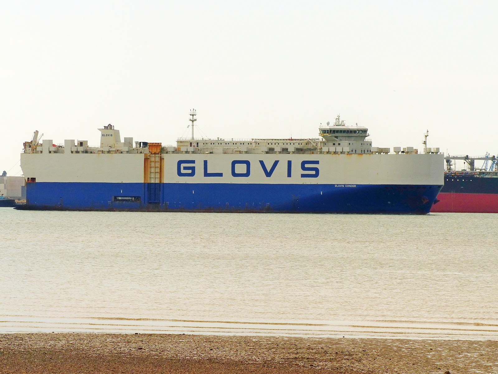 GLOVIS CONDOR