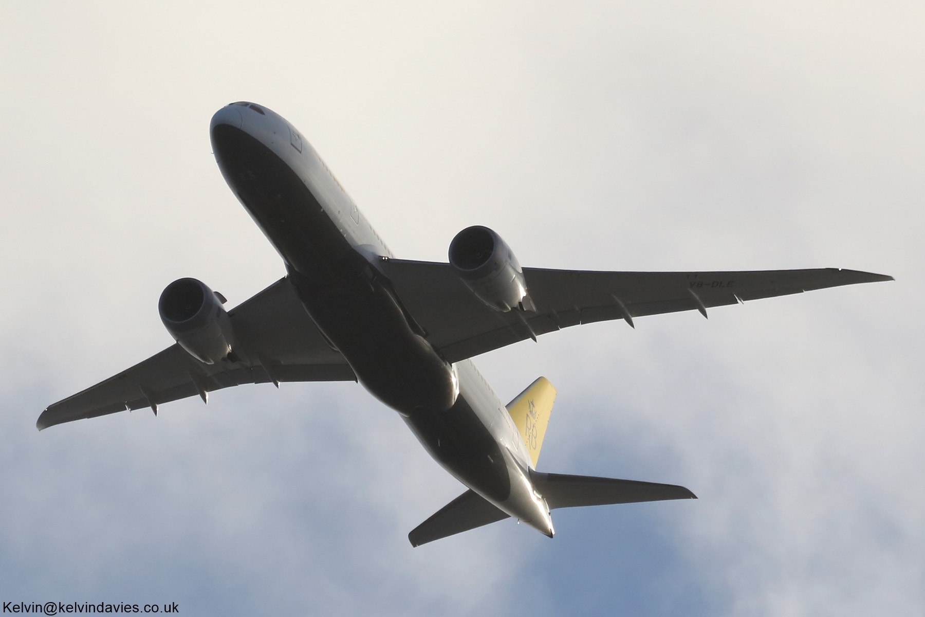Royal Brunei Airlines 787 V8-DLE