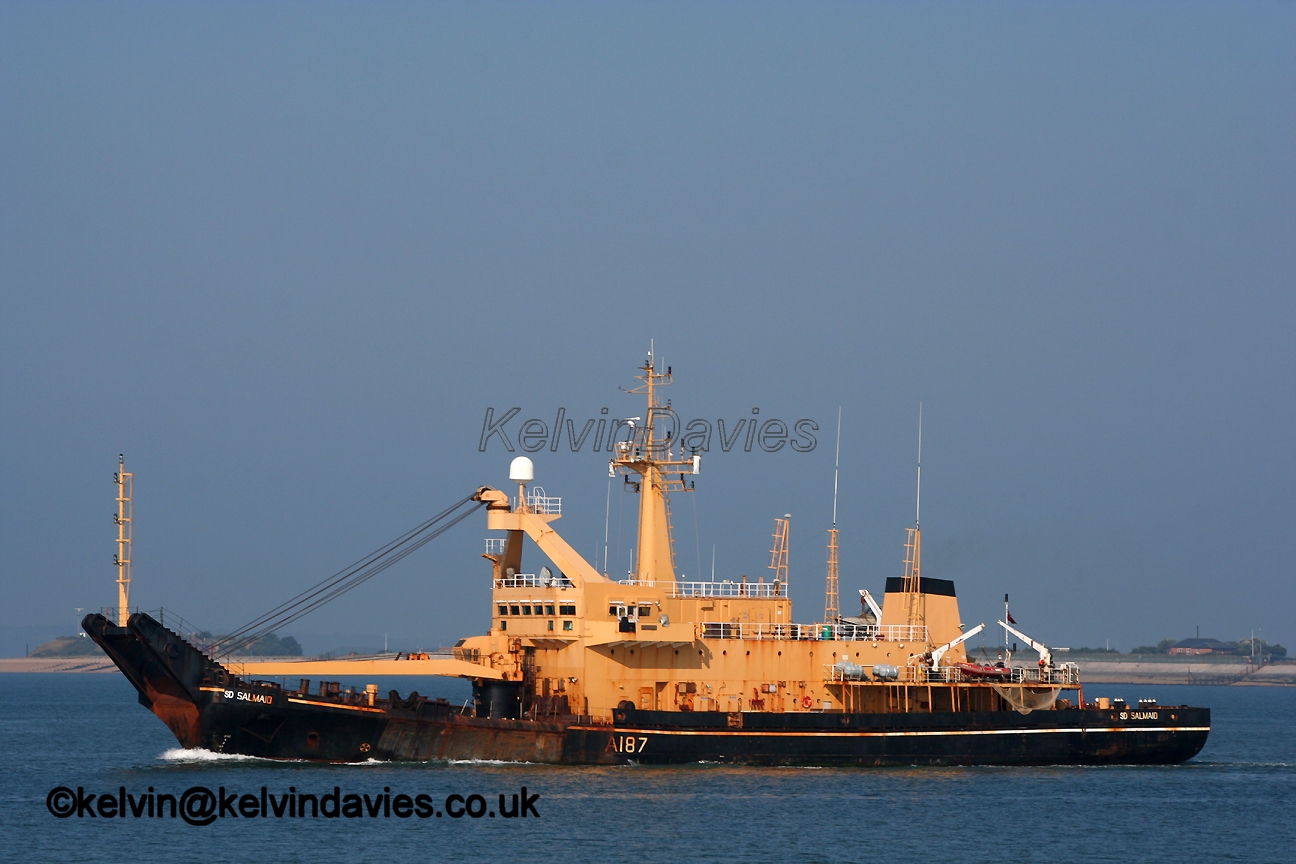 SD Salmaid