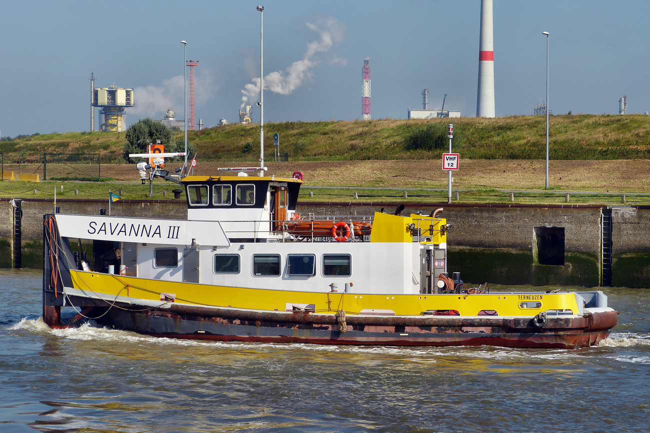 SAVANNA III