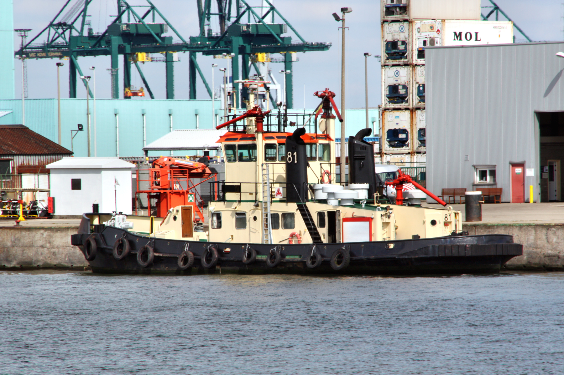 TUG 81