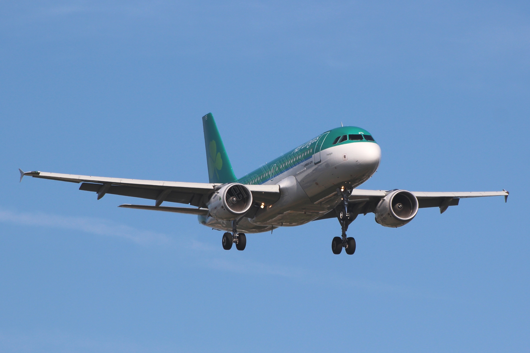 Aer Lingus A319 EI-EPS