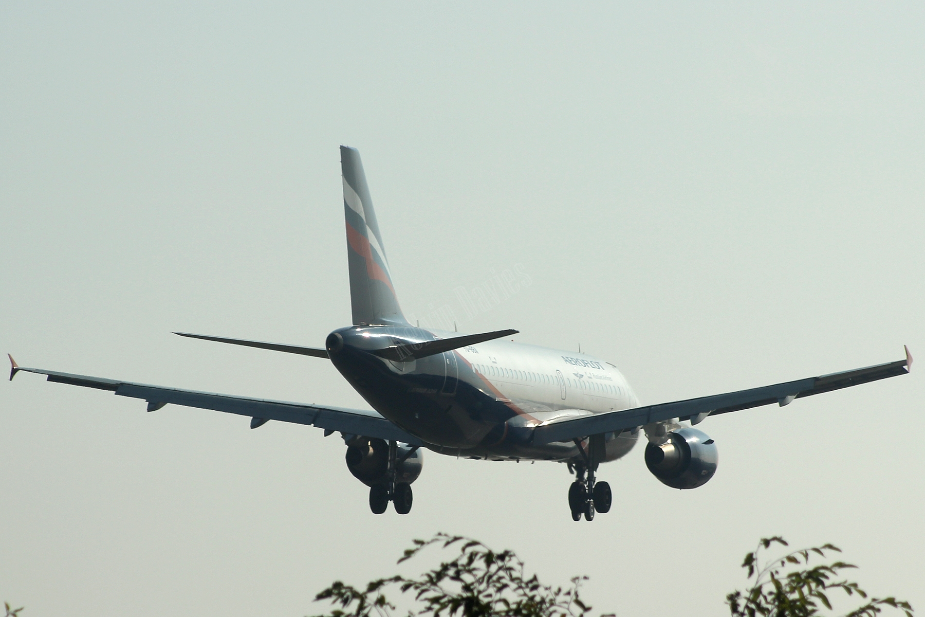 Aeroflot A319 VQ-BBA