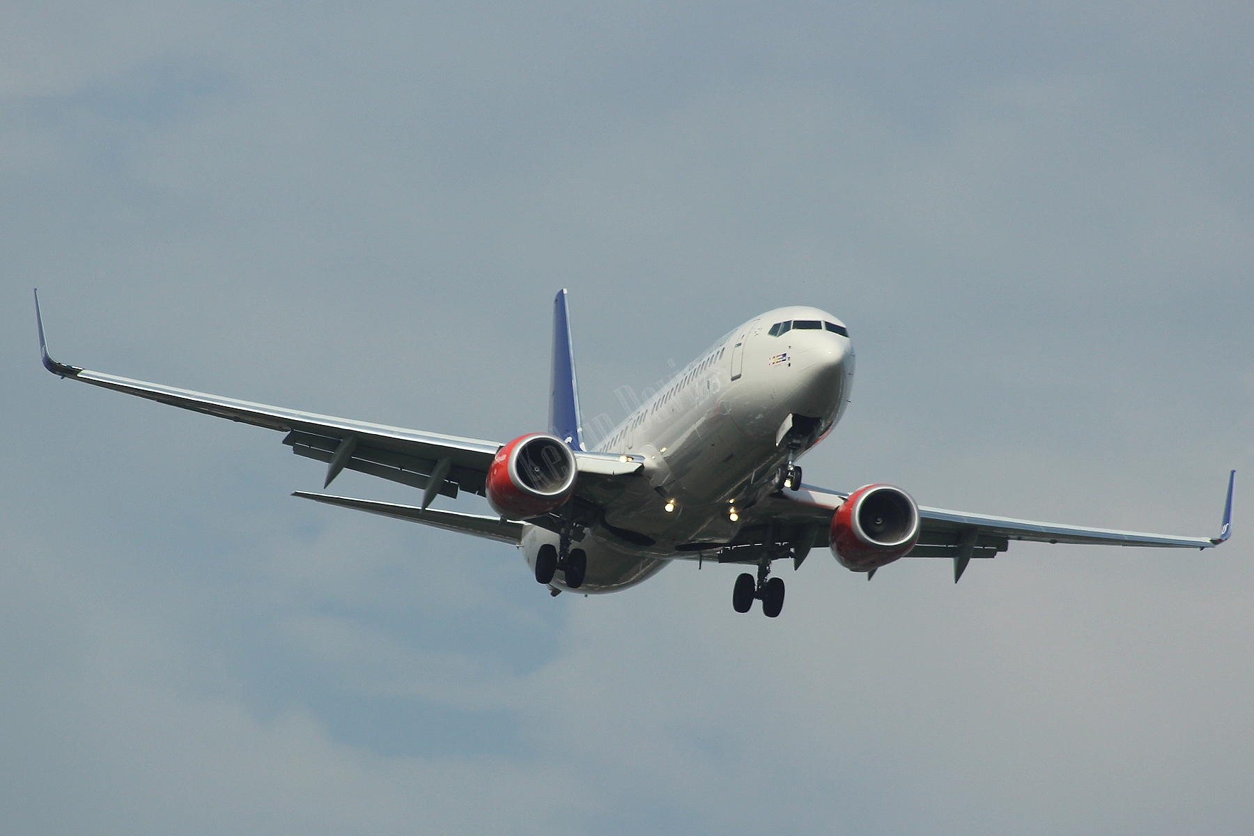SAS 737 LN-RGD