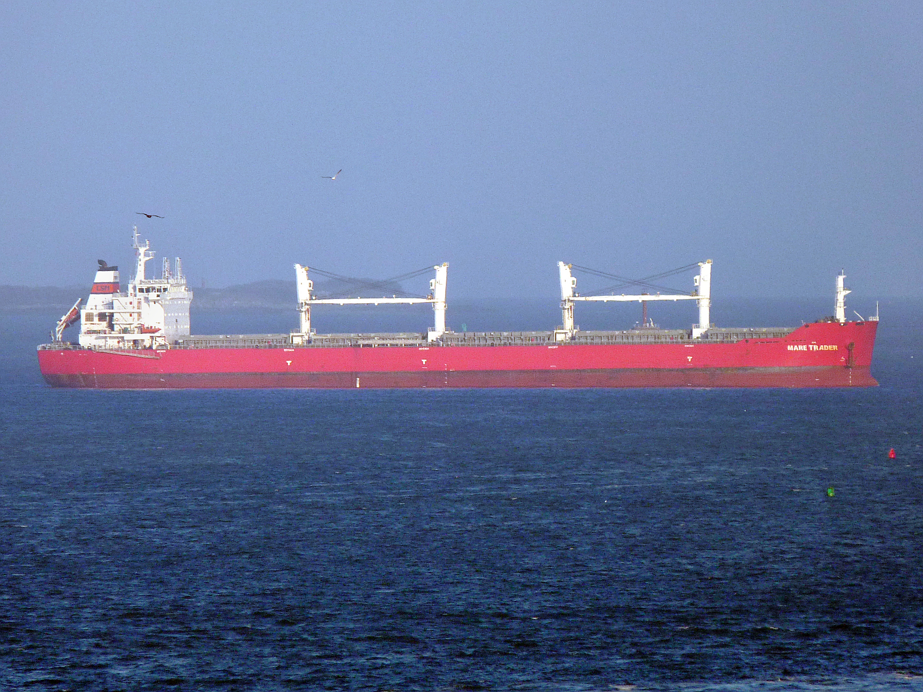 MARE TRADER