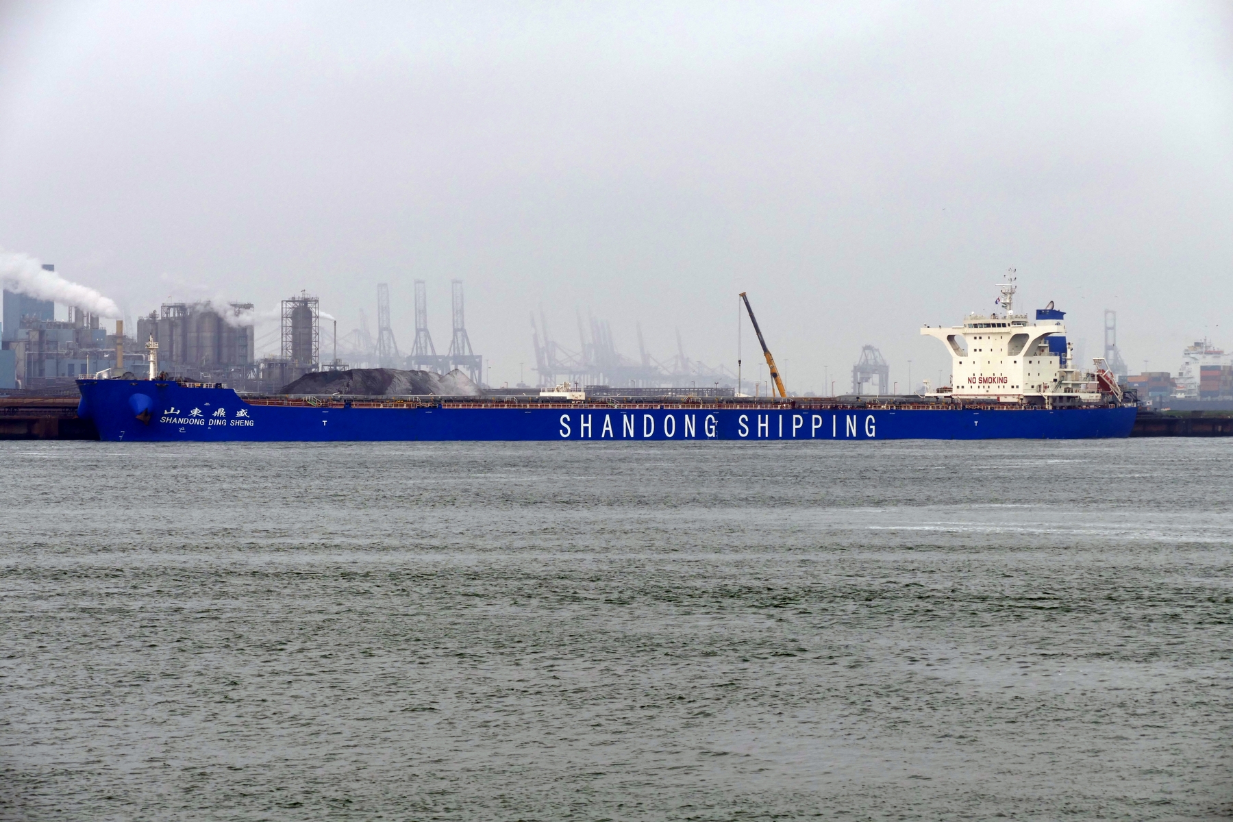 SHANDONG DING SHEN