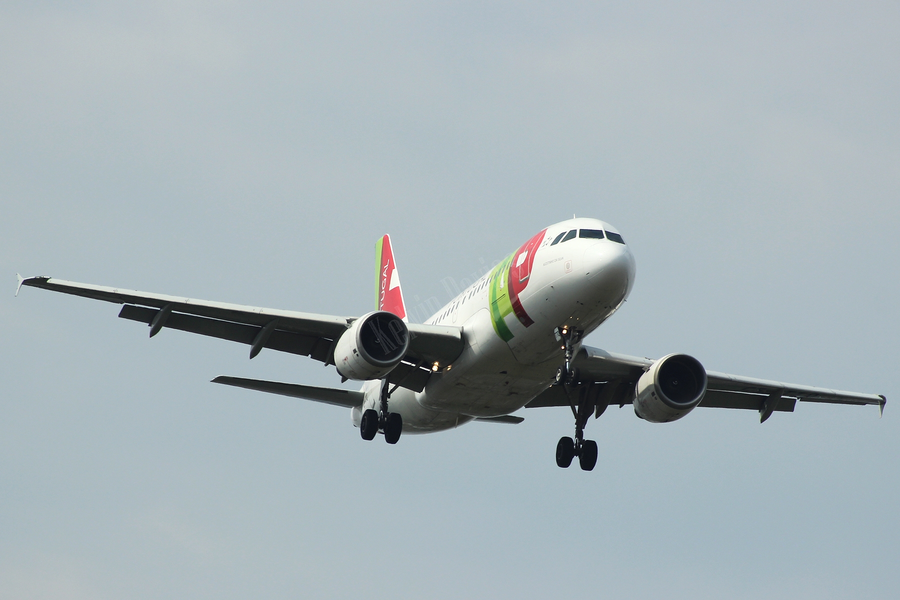 TAP A319 CS-TTQ