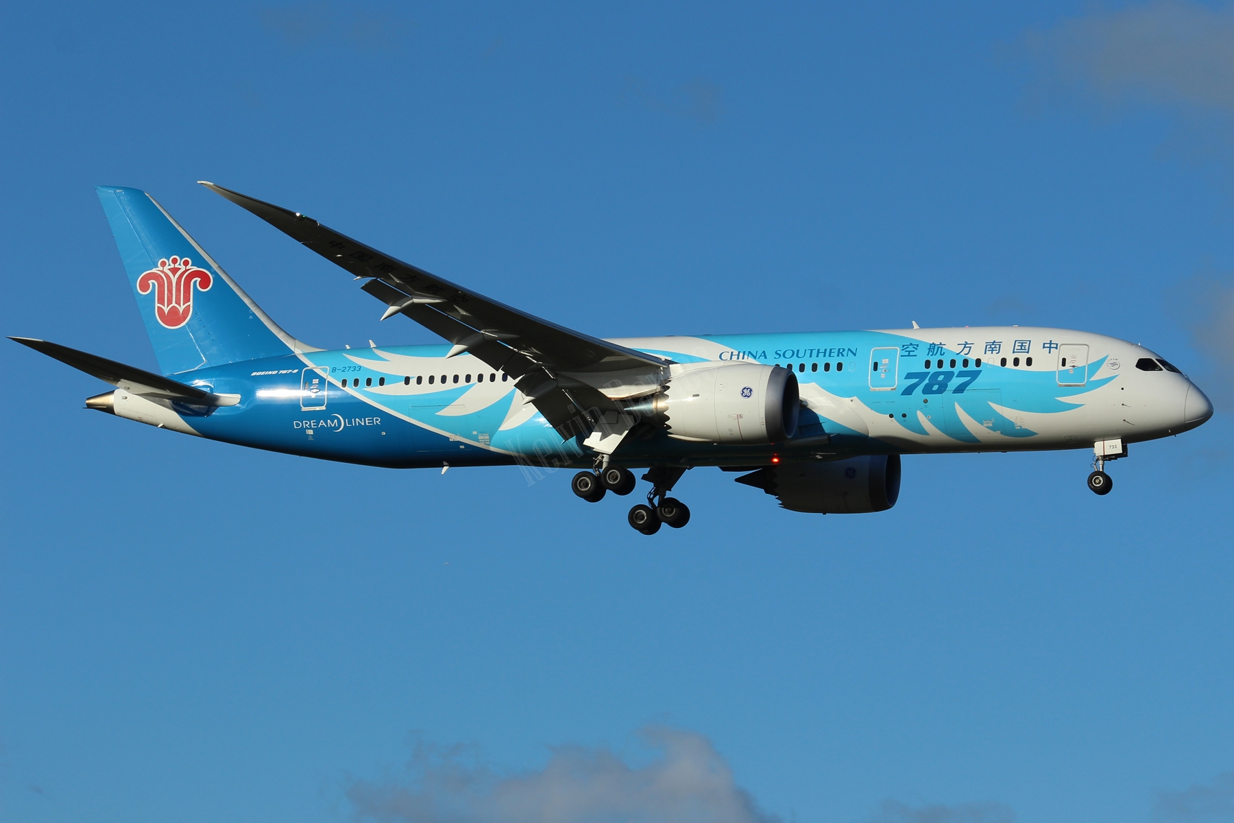 China Southern 787 B-2733