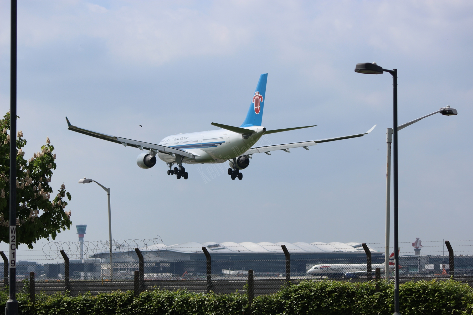 China Southern A330 B-6548