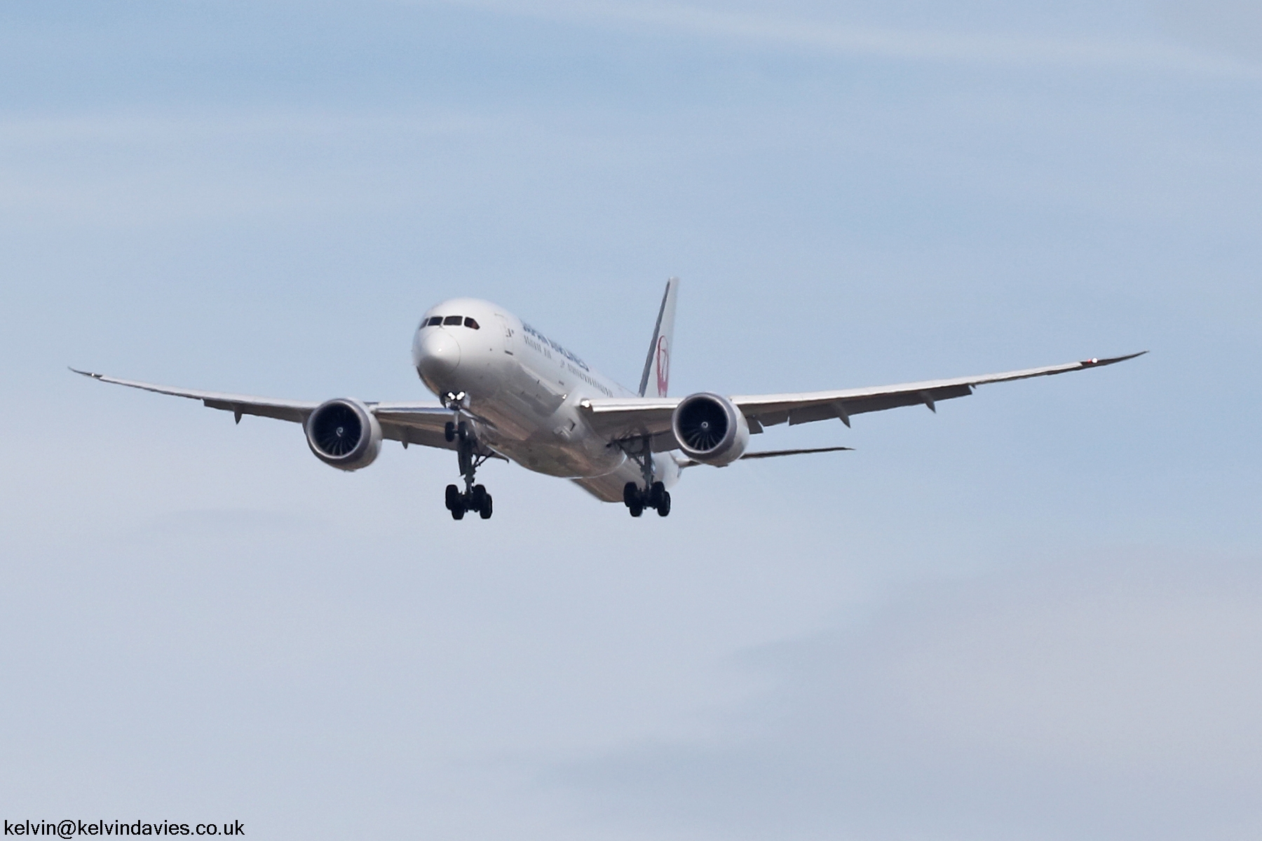Japan Airlines 787 JA877J
