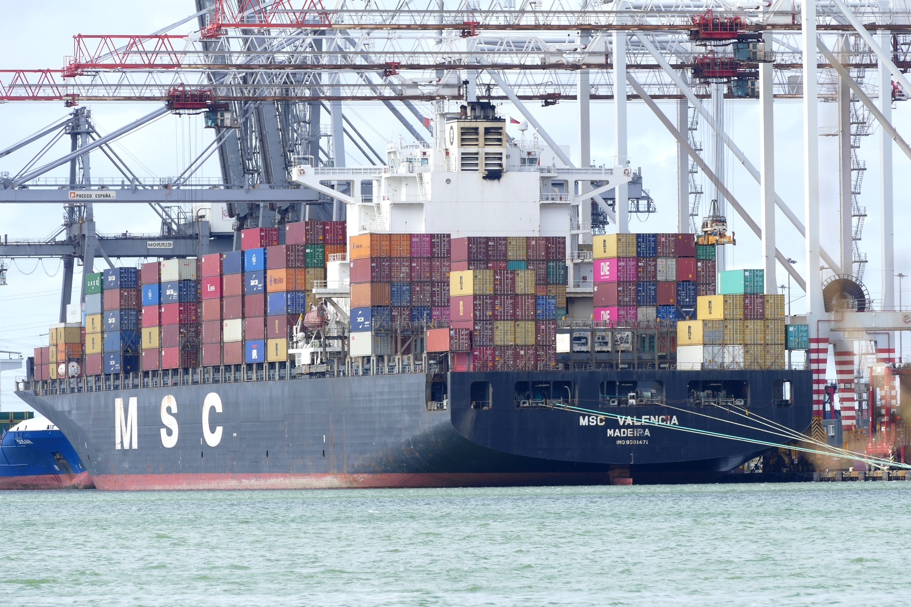 MSC VALENCIA