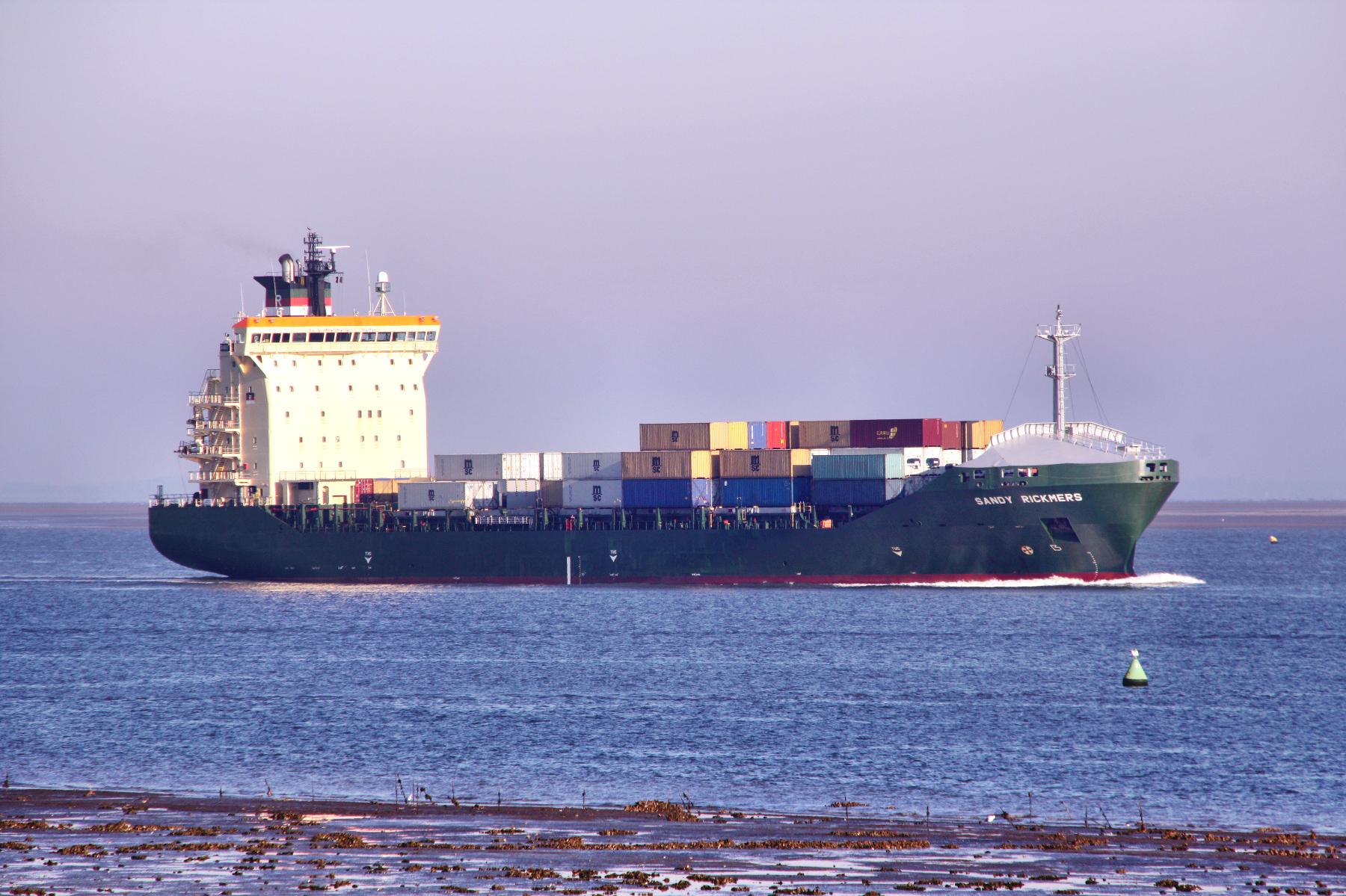 SANDY RICKMERS
