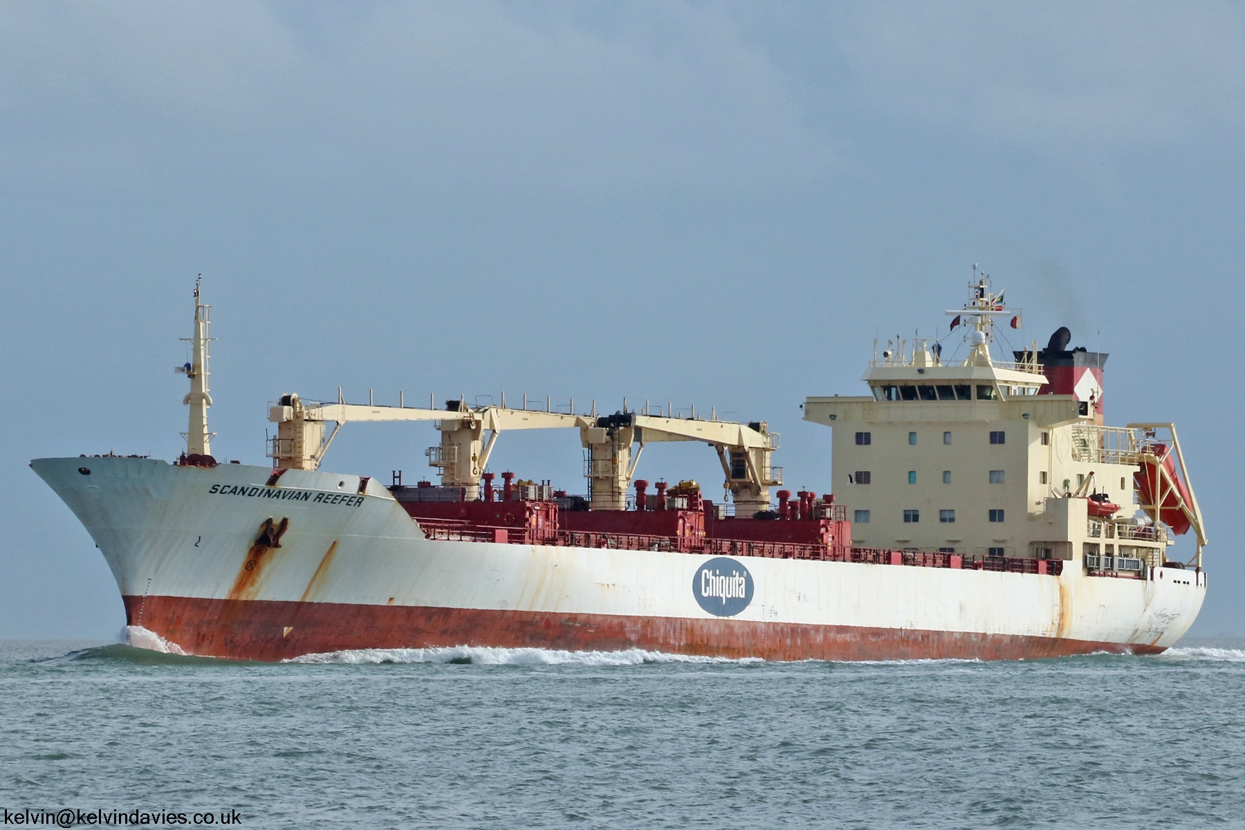 Scandinavian Reefer