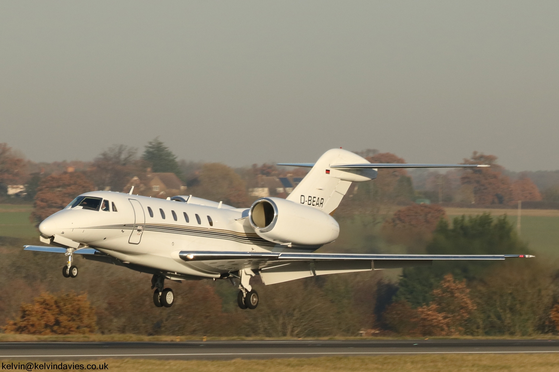 Citation X D-BEAR
