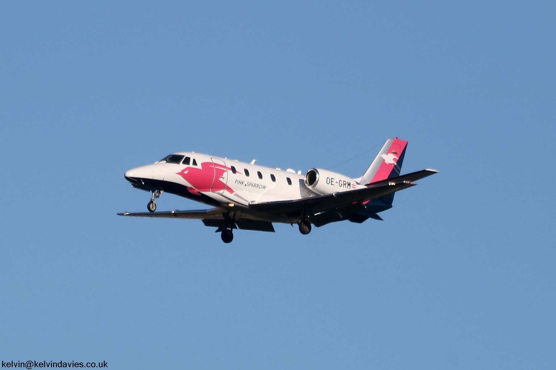 Pink Sparrow Citation XLS+ OE-GRM