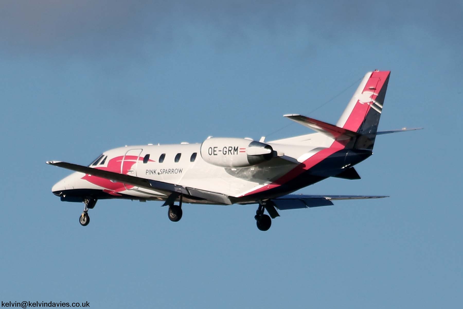Pink Sparrow Citation XLS+ OE-GRM