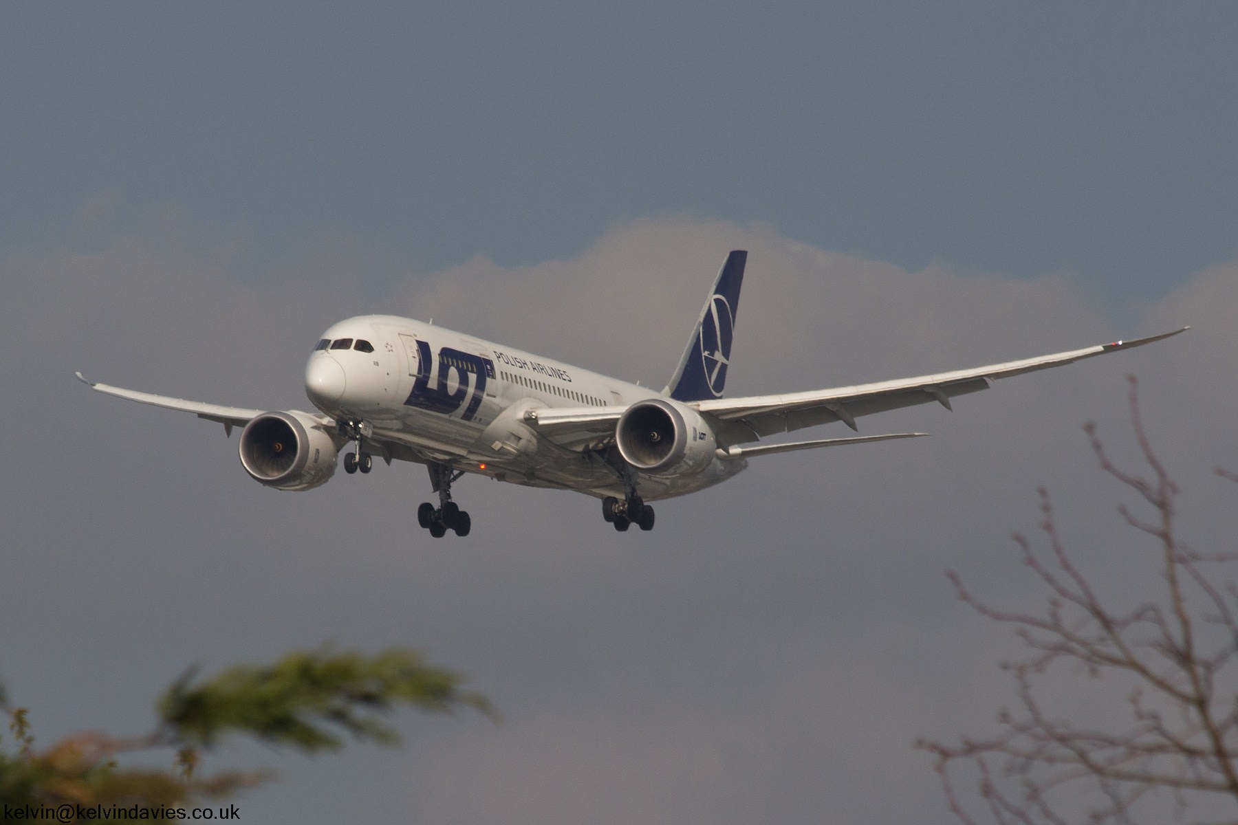 LOT 787 SP-LRB