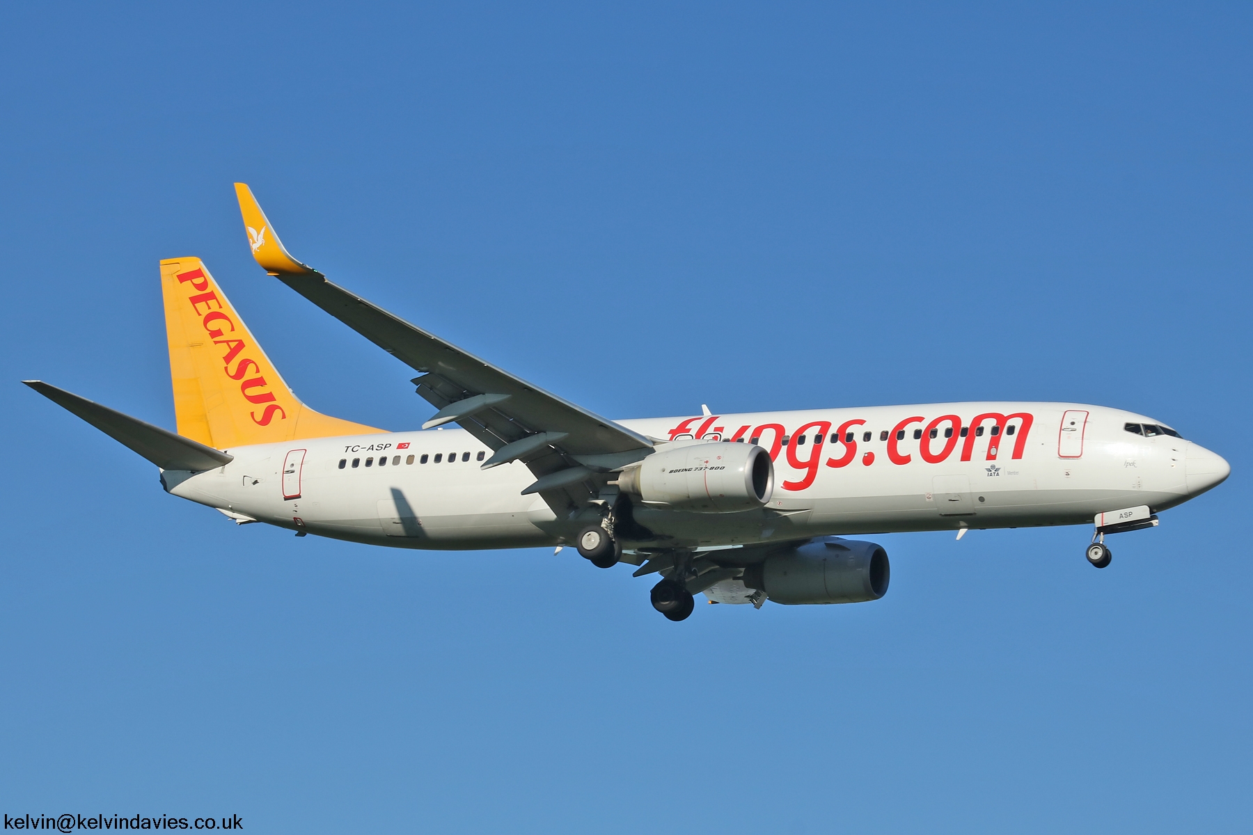 Pegasus Airlines 737NG TC-ASP
