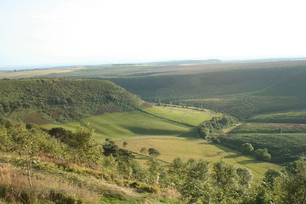 Yorkshire Moors