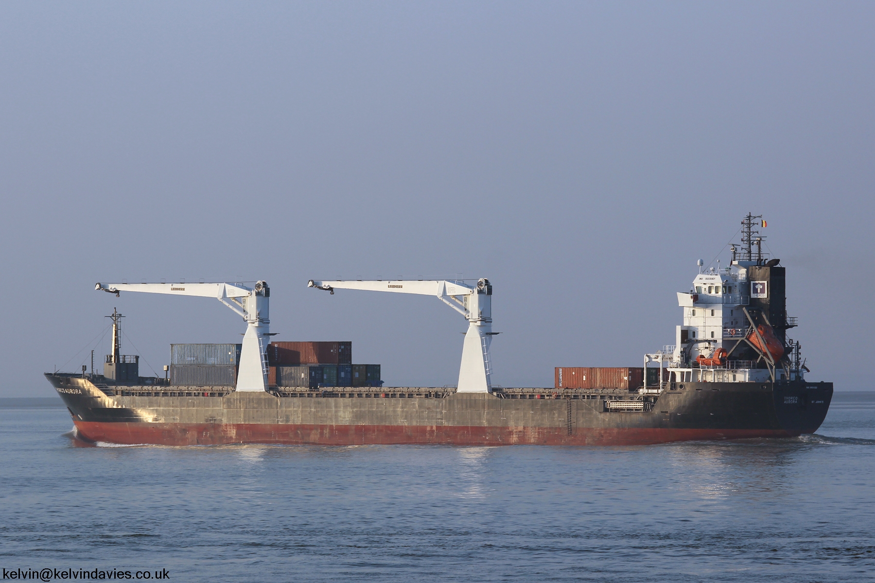 Thorco Aurora