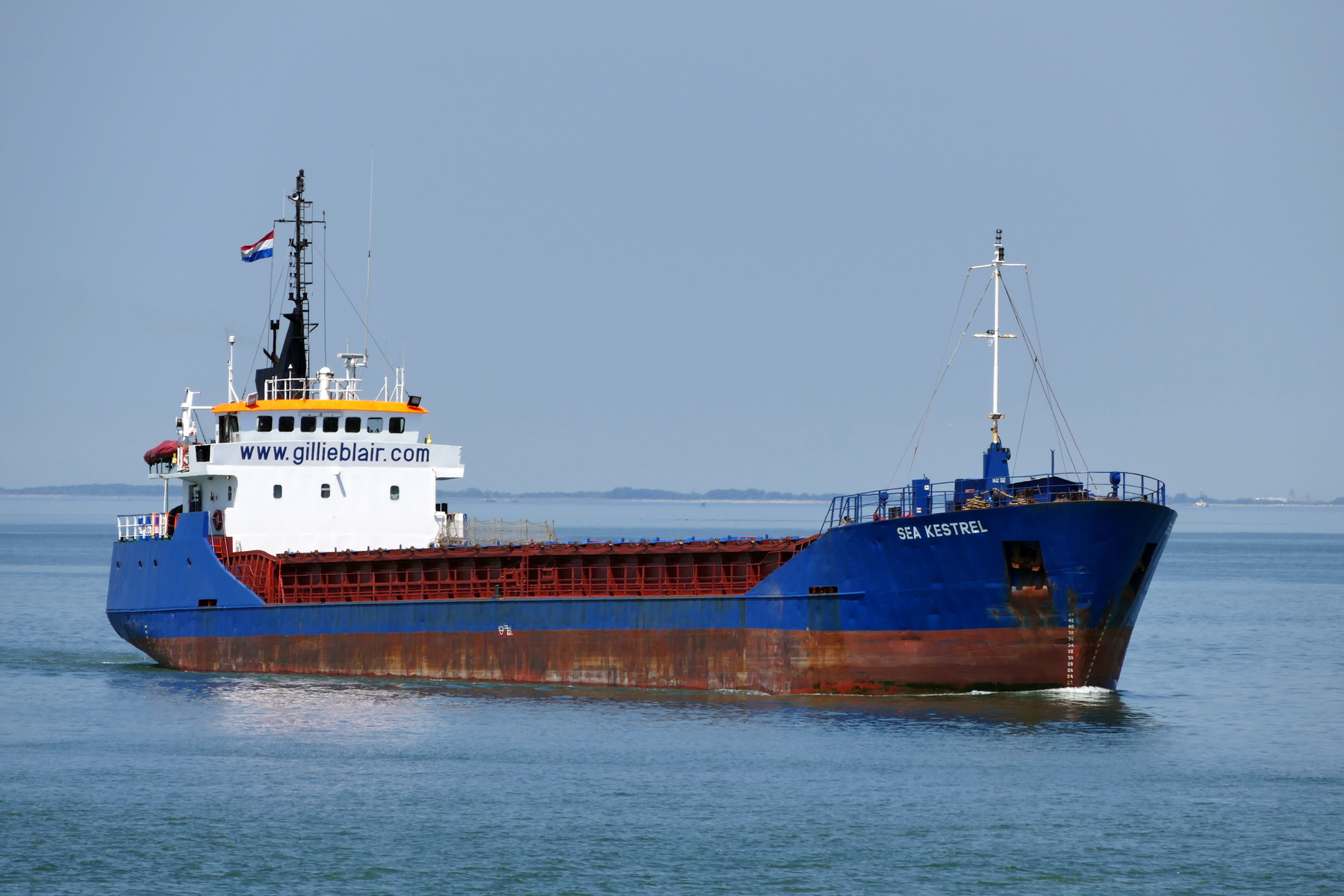 SEA KESTREL
