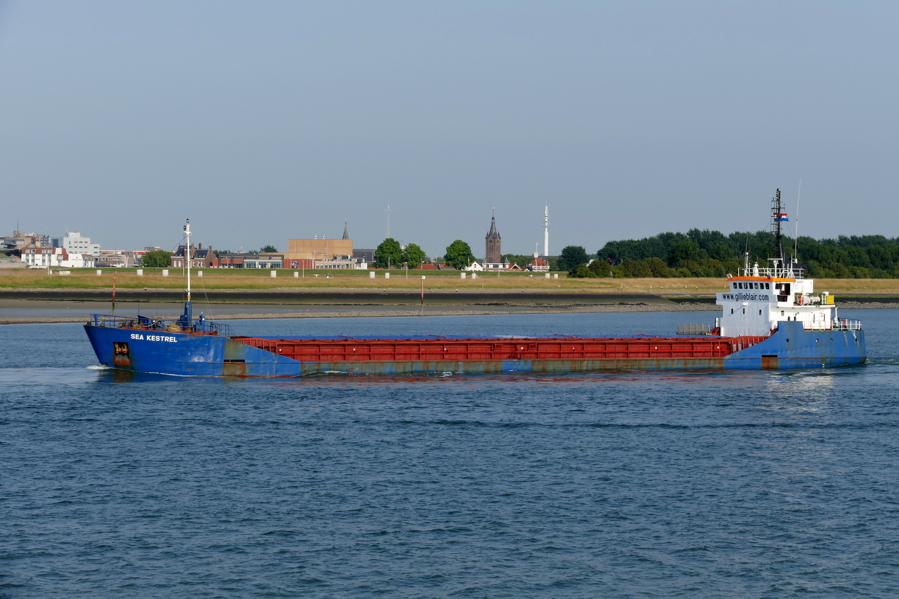 SEA KESTREL