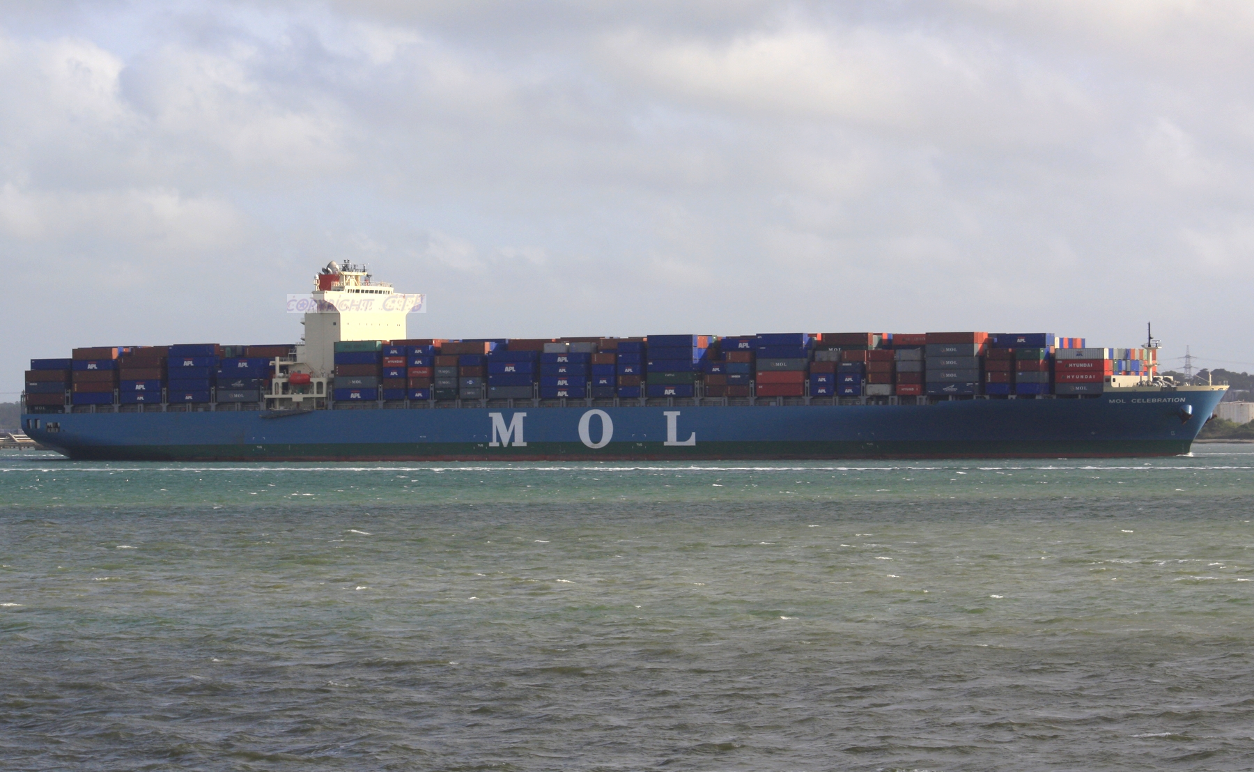 MOL CELEBRATION
