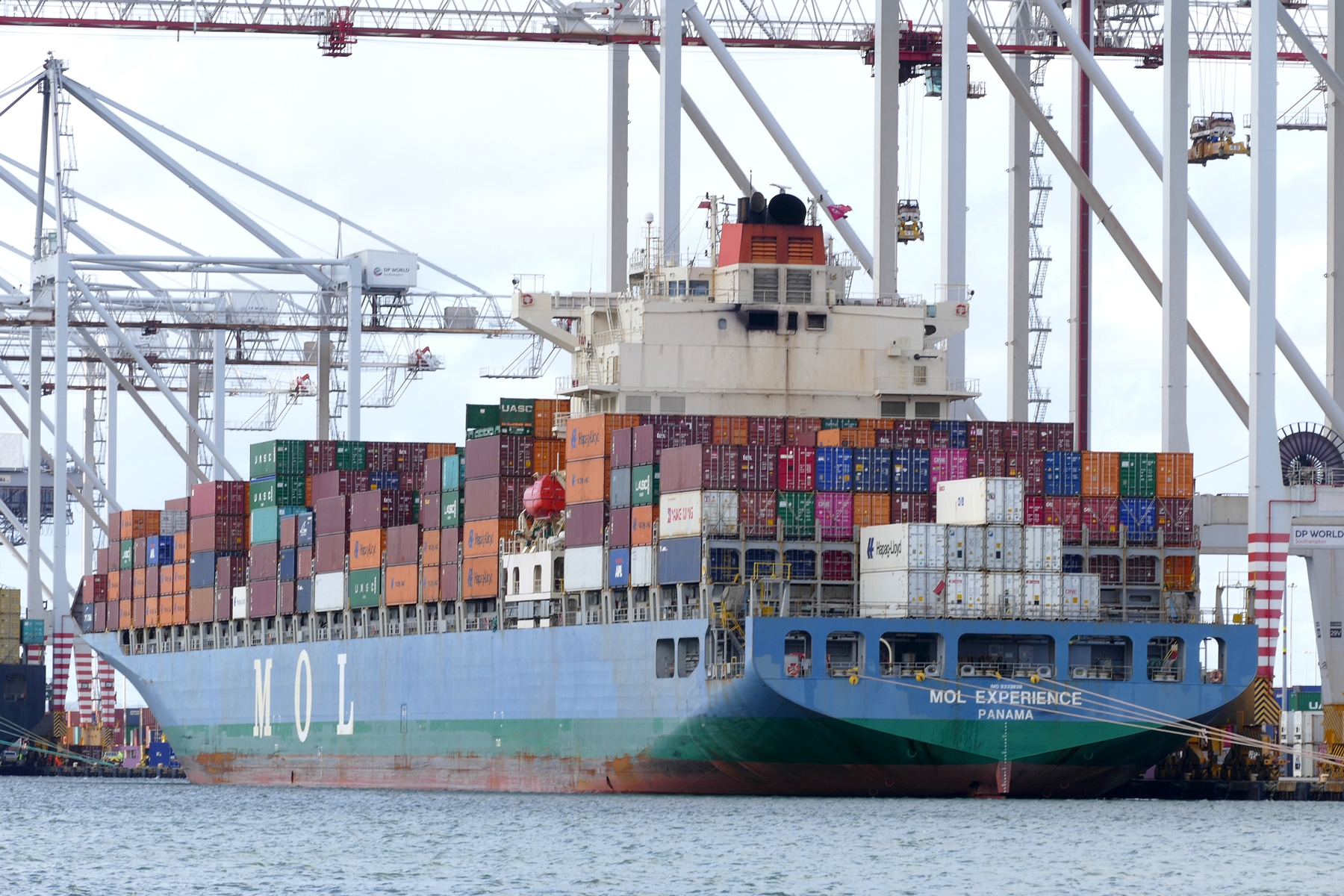 MOL EXPERIENCE