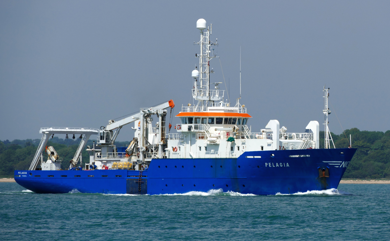 PELAGIA