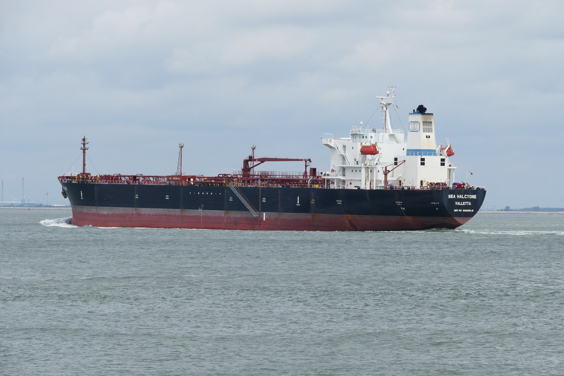 SEA HALCYONE