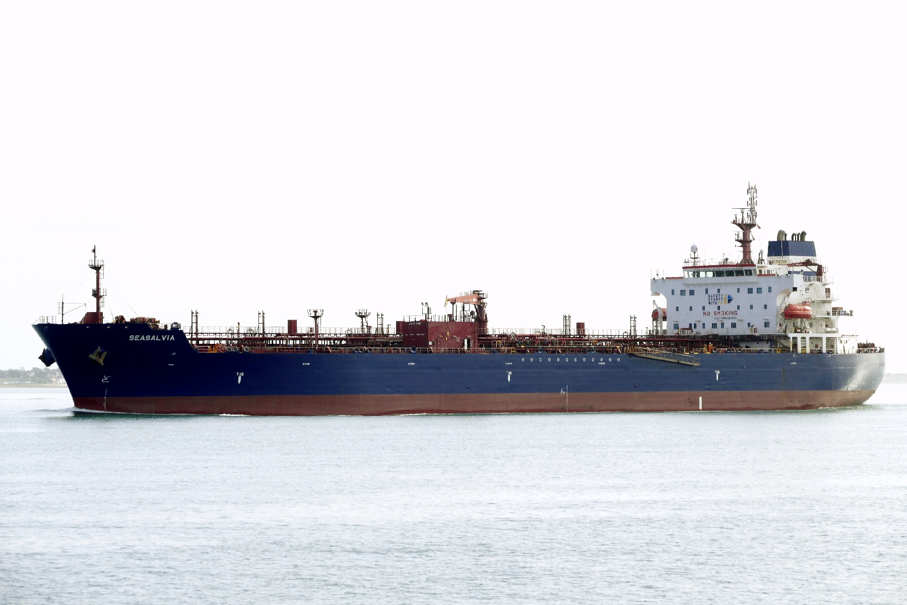SEASALVIA