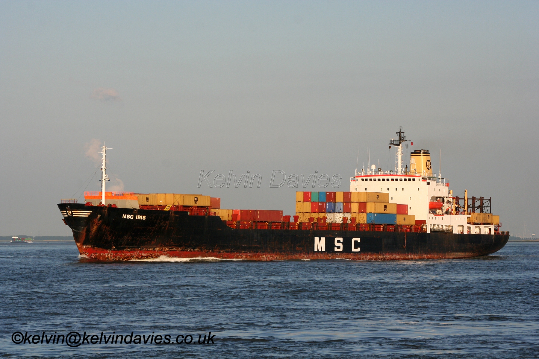 MSC Iris