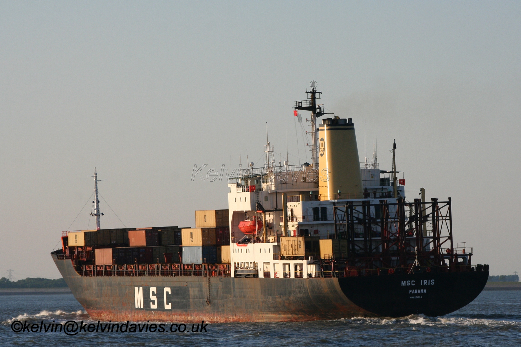 MSC Iris