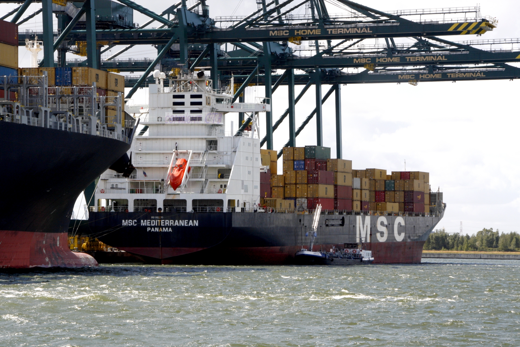 MSC MEDITERRANEAN