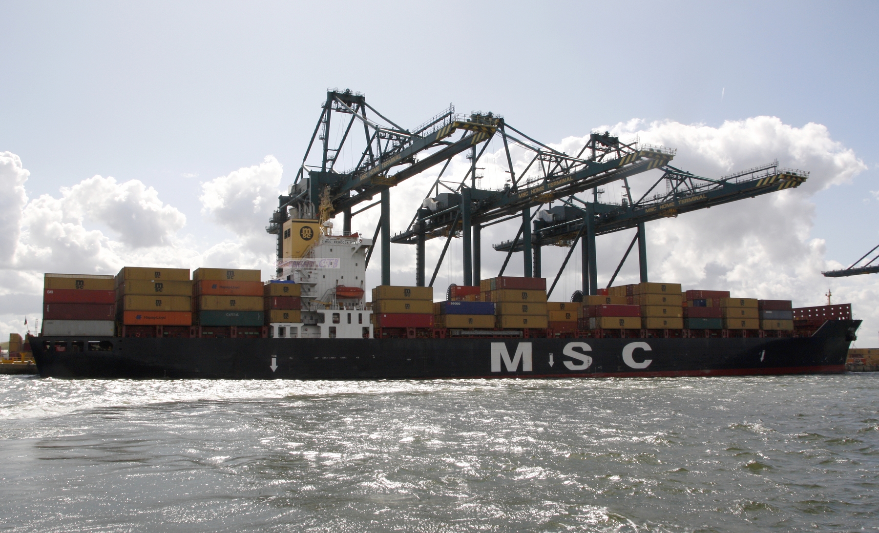 MSC REBECCA