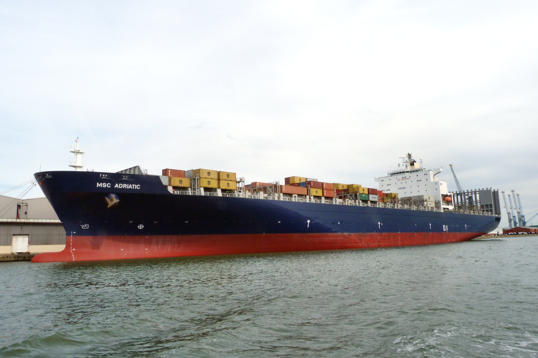 MSC ADRIATIC