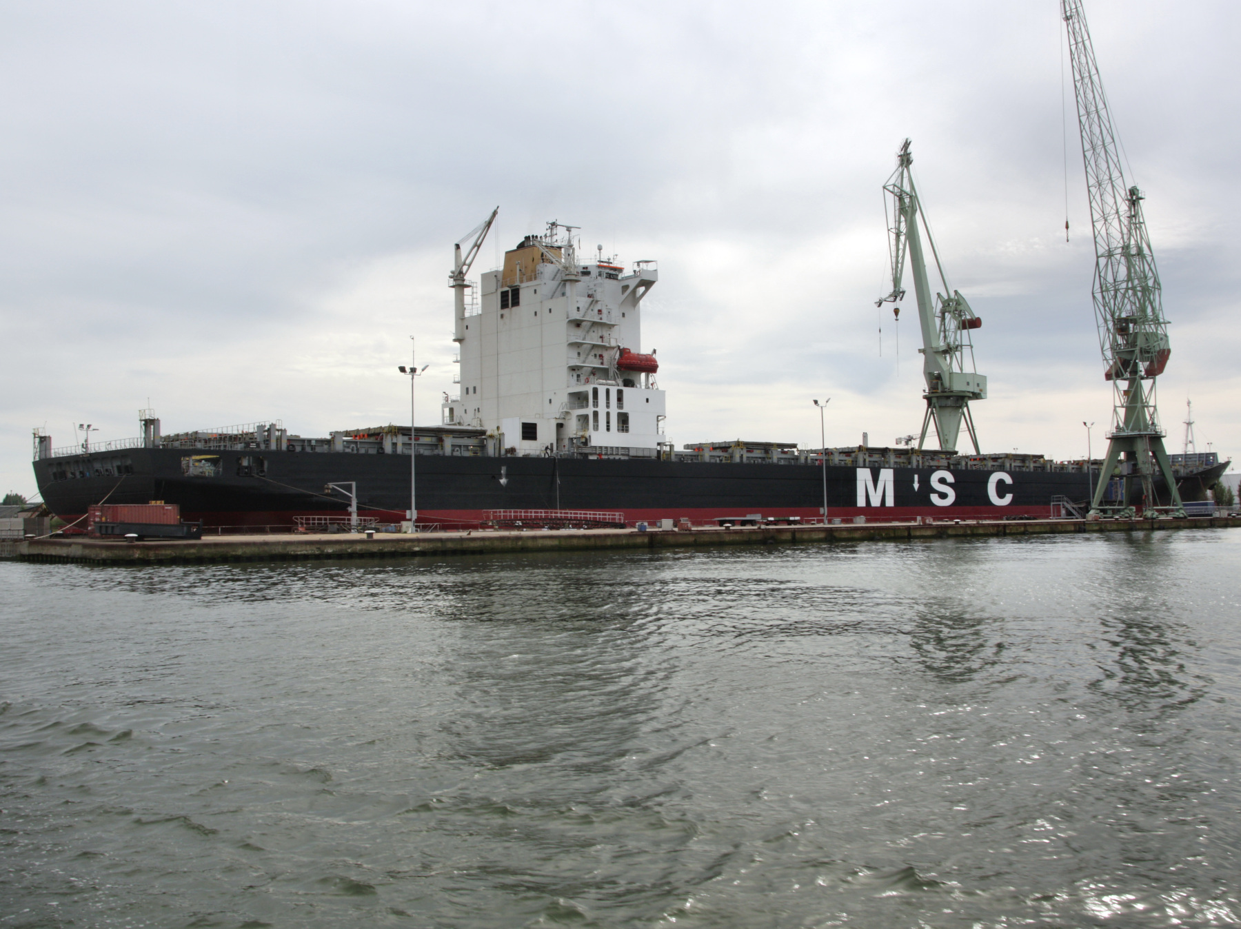 MSC ALYSSA