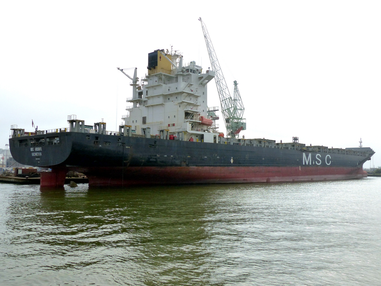 MSC ARUSHI R.