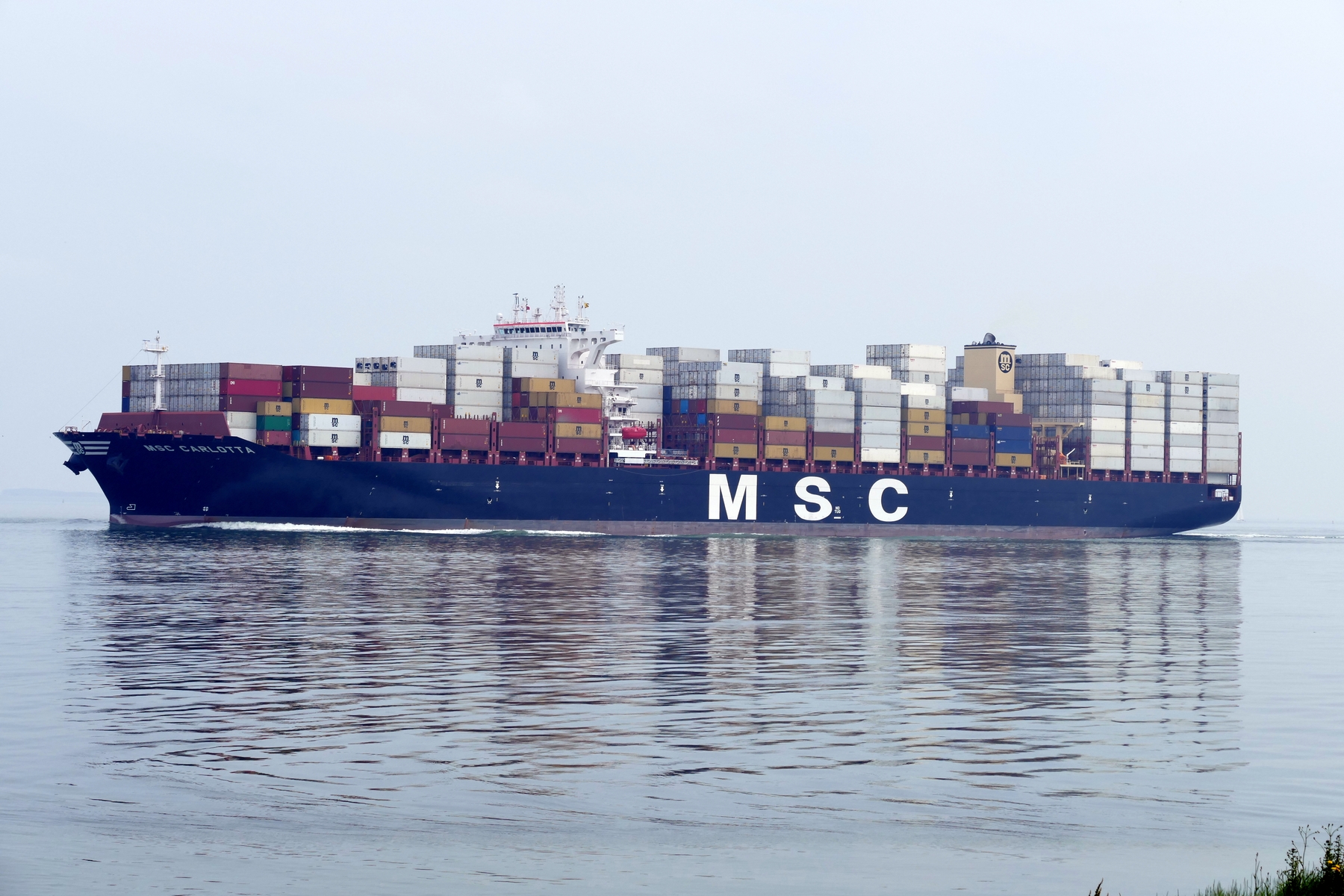 MSC CARLOTTA