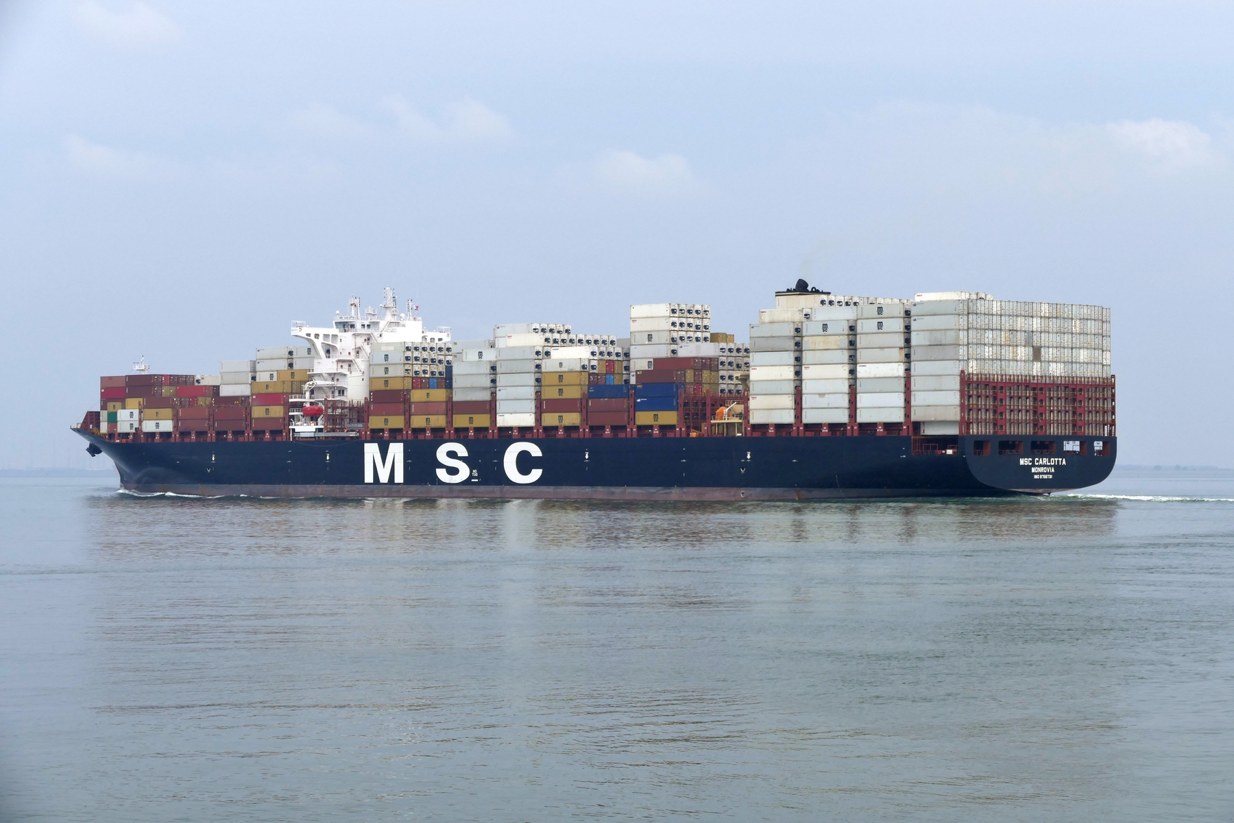 MSC CARLOTTA