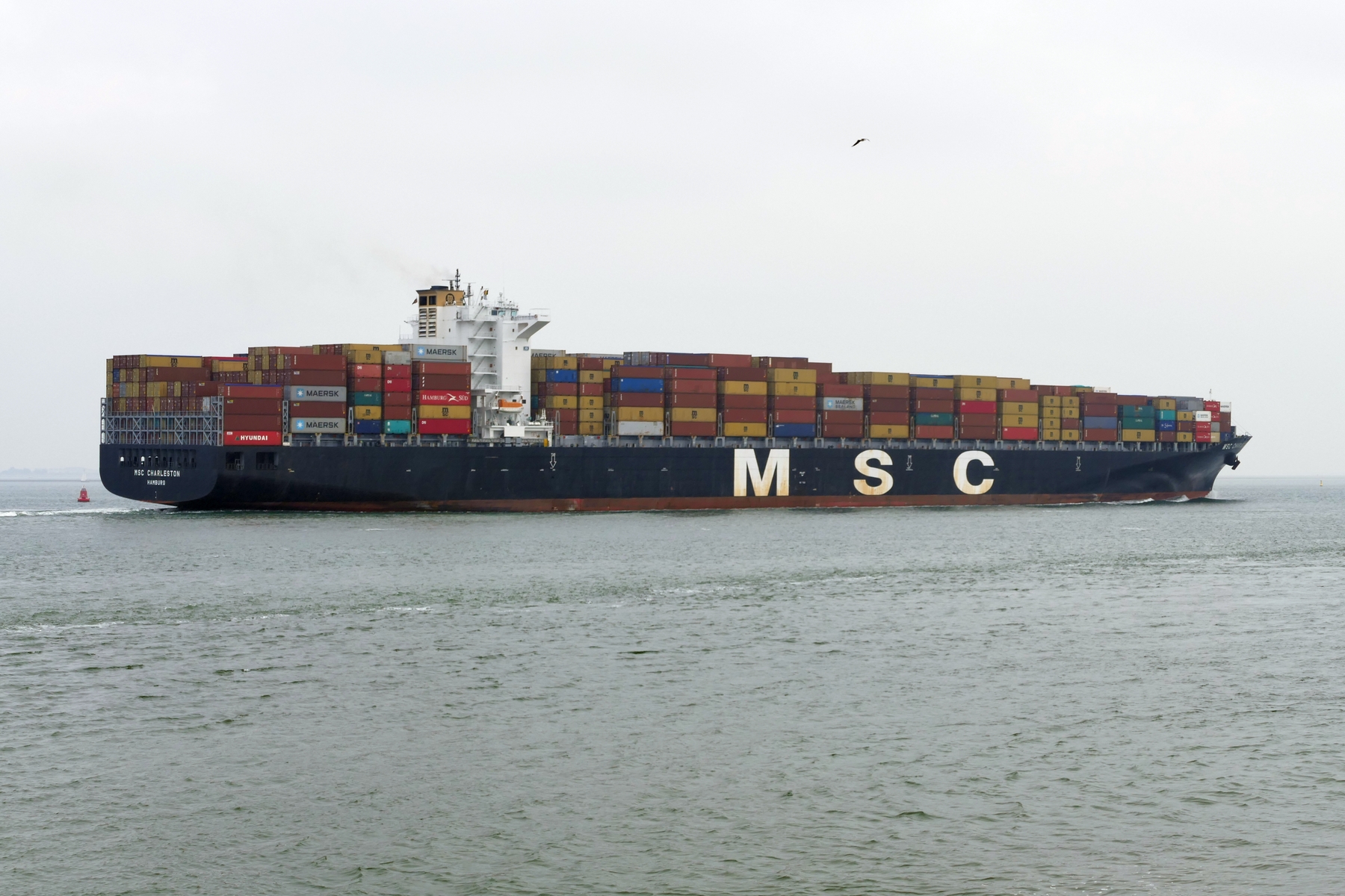MSC CHARLESTON