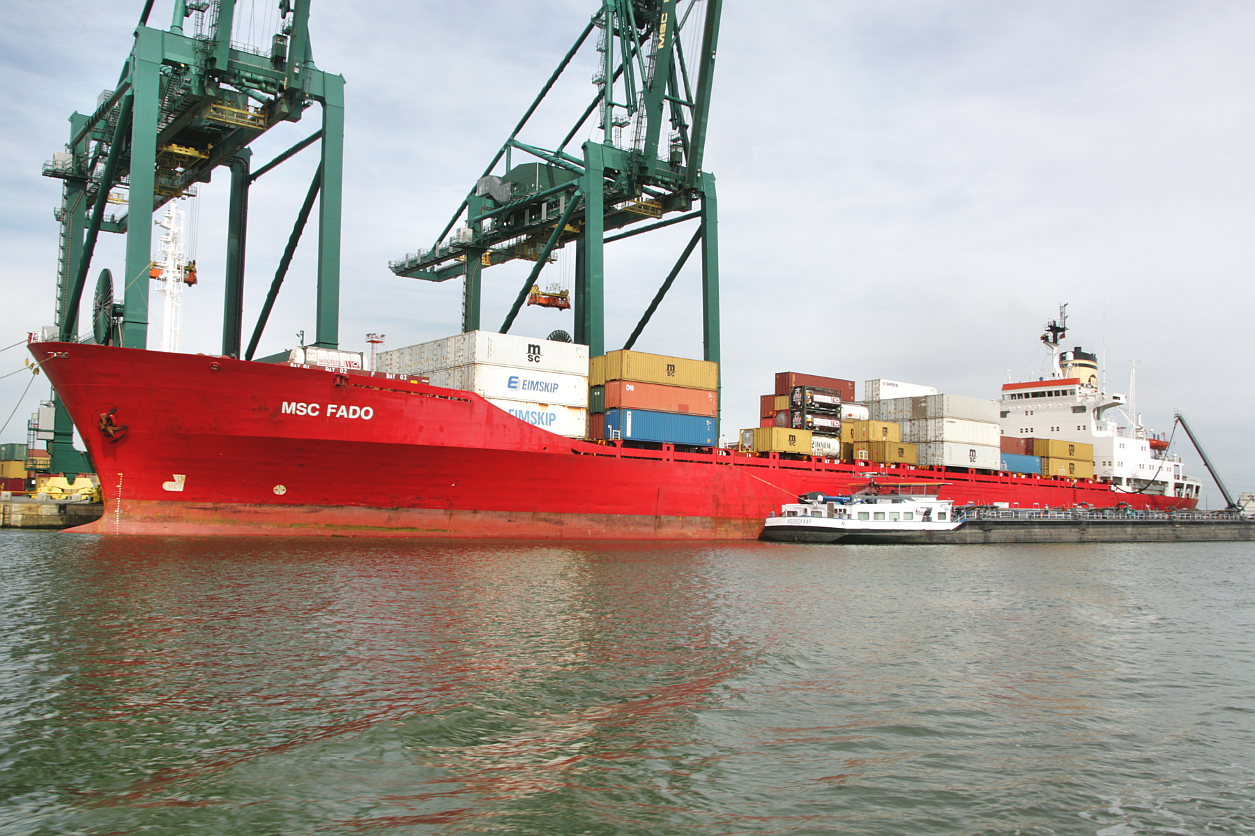 MSC FADO