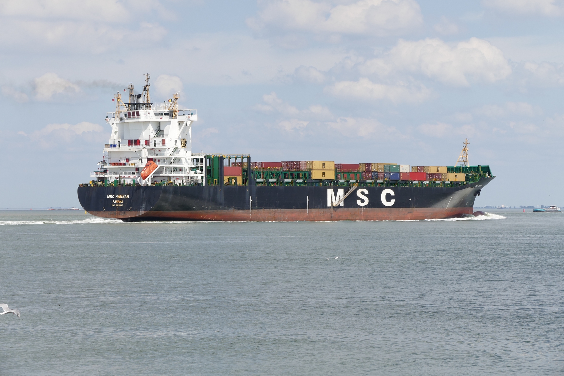 MSC HANNAH