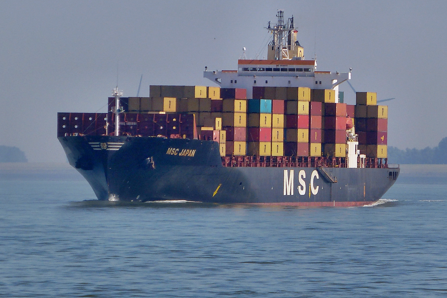 MSC JAPAN
