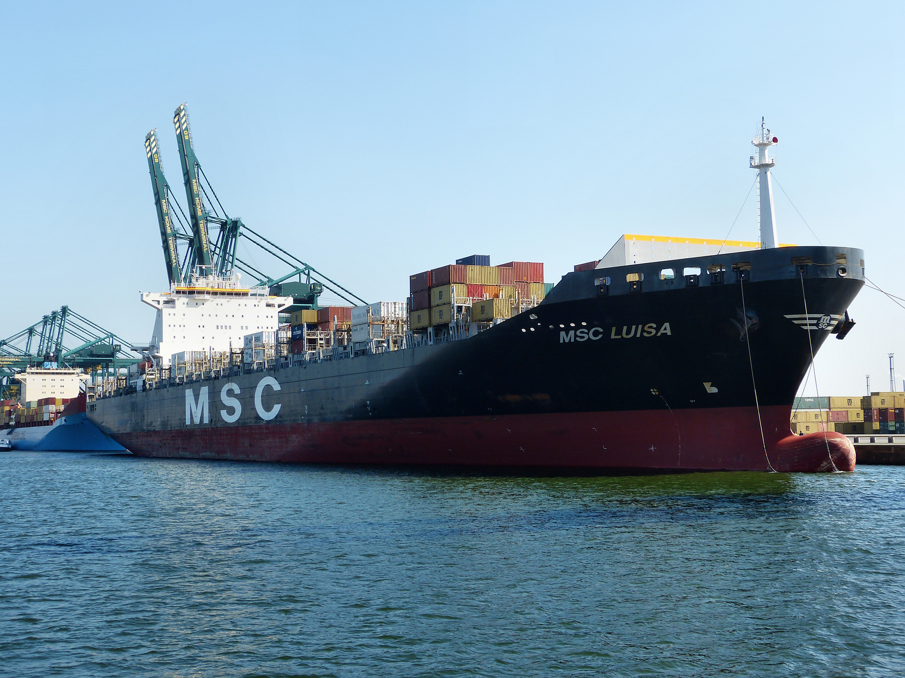 MSC LUISA