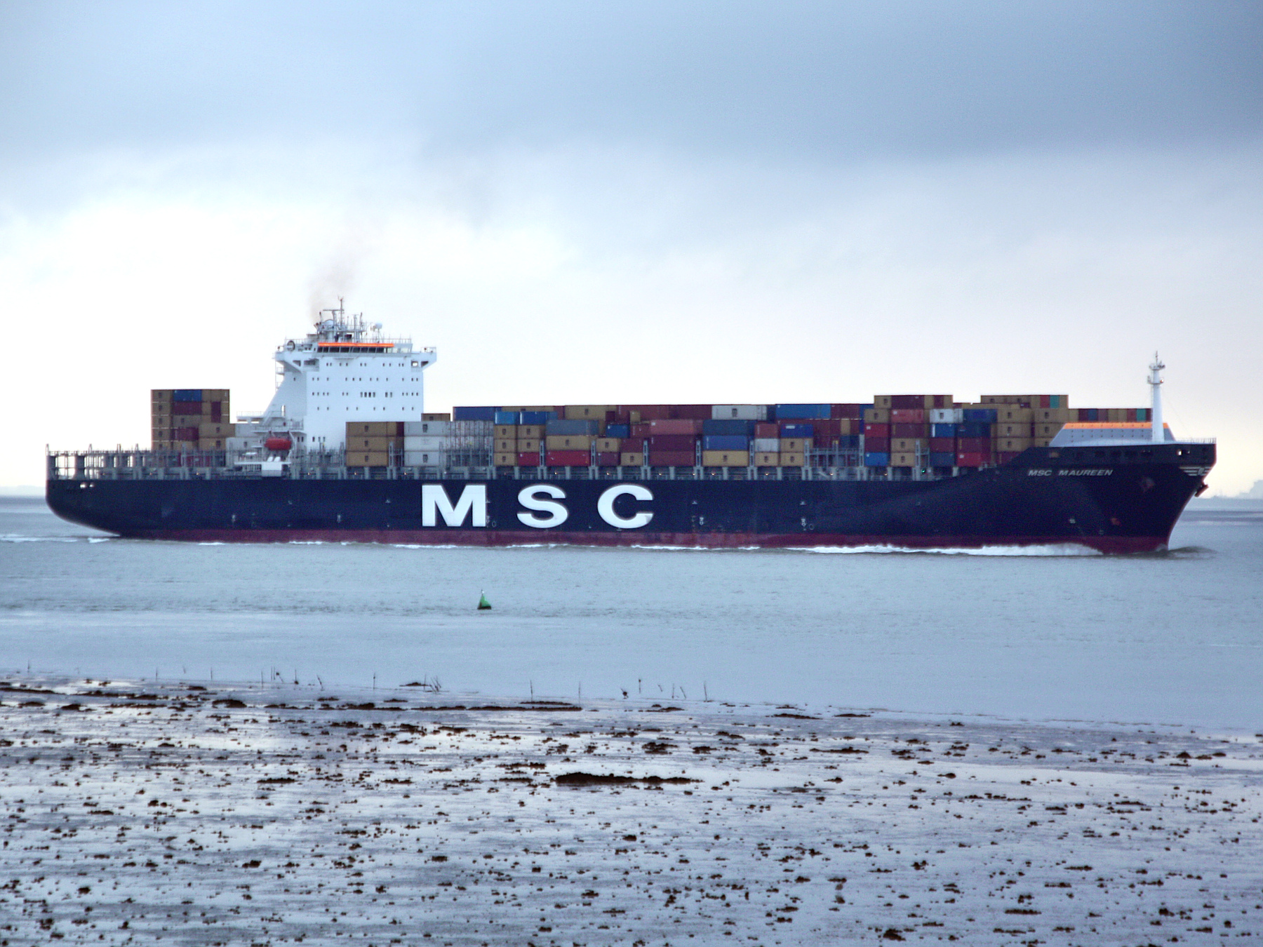 MSC MAUREEN