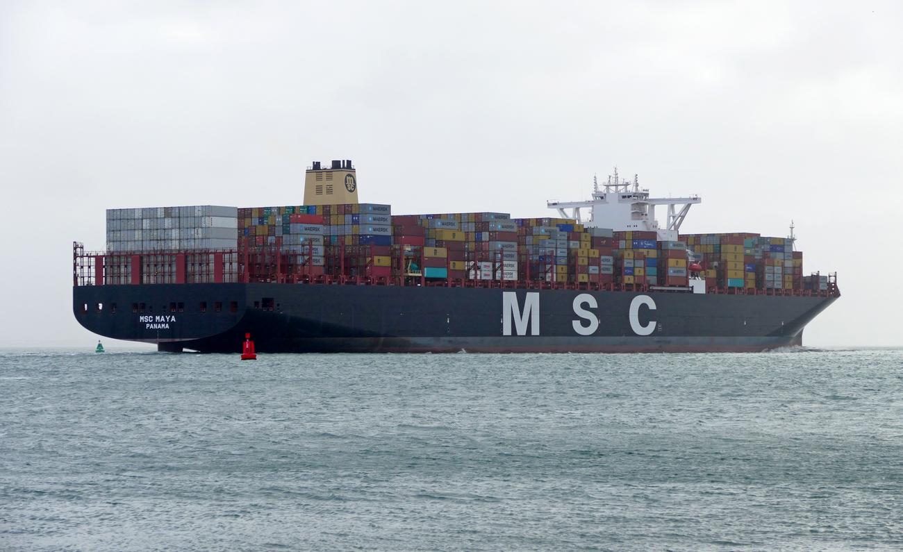 MSC MAYA
