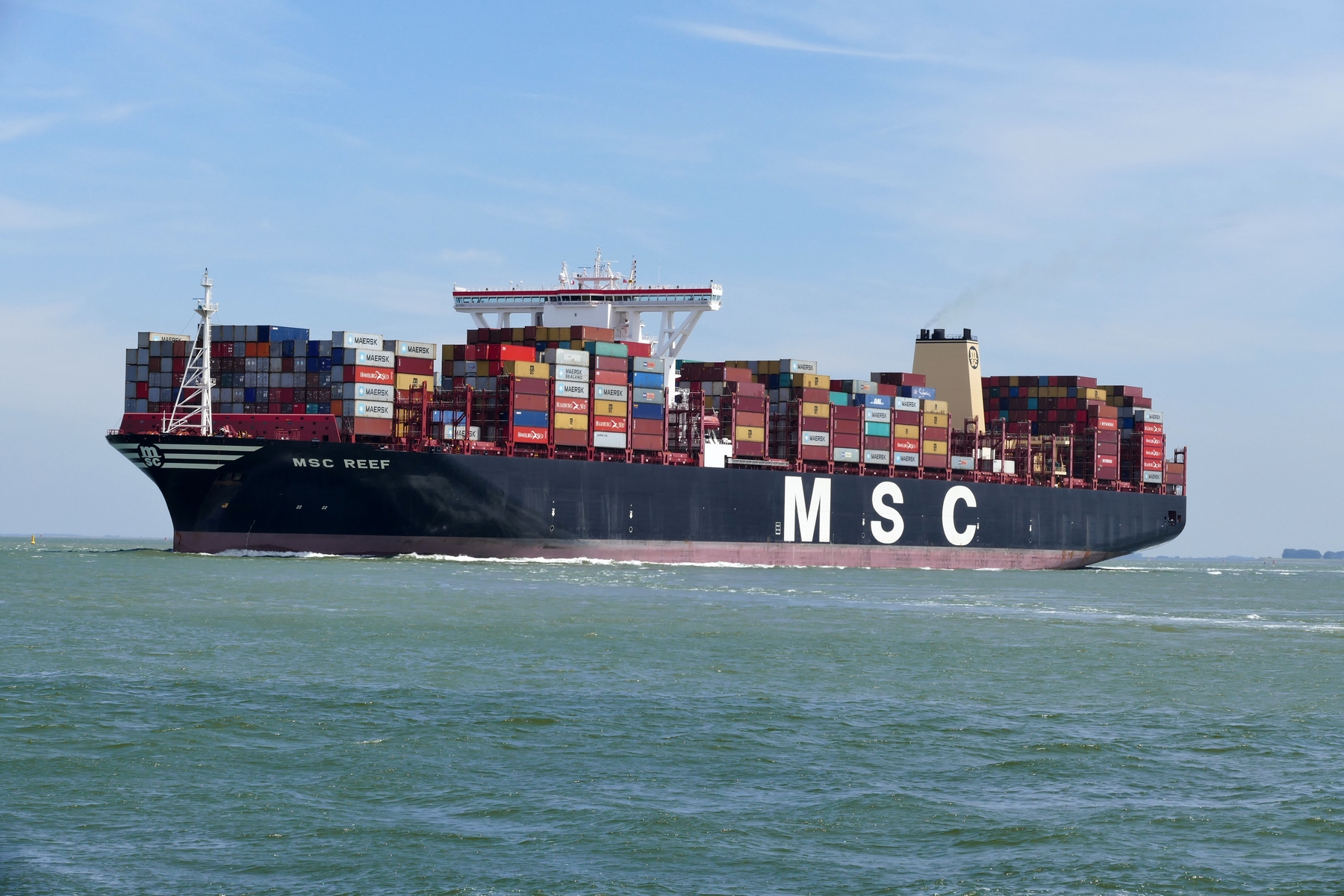 MSC REEF