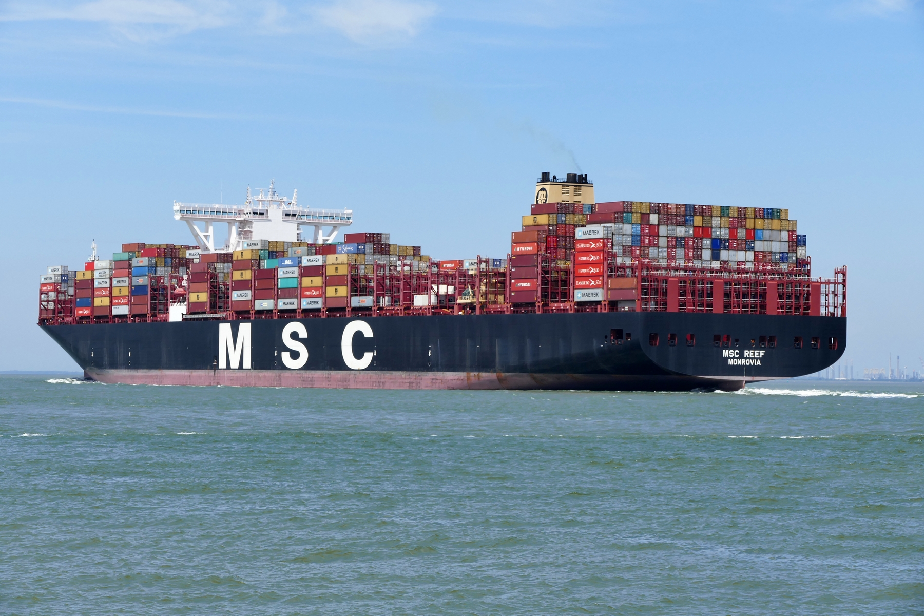 MSC REEF