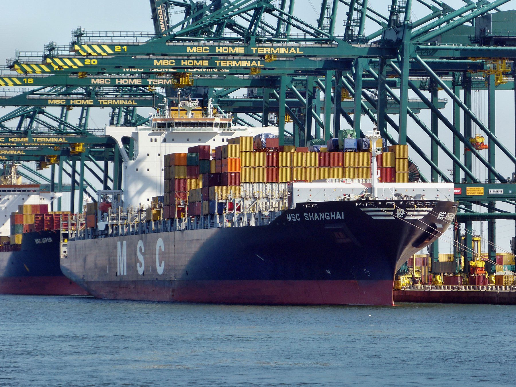 MSC SHANGHAI